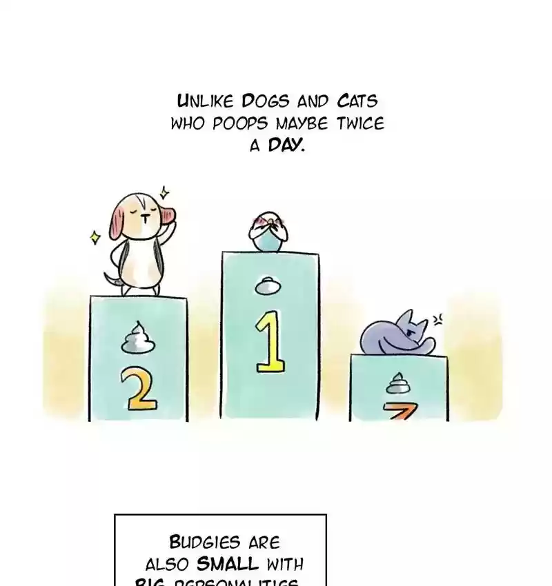 A Budgie's Life Chapter 83: Ep.83: