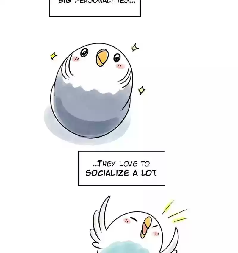 A Budgie's Life Chapter 83: Ep.83: