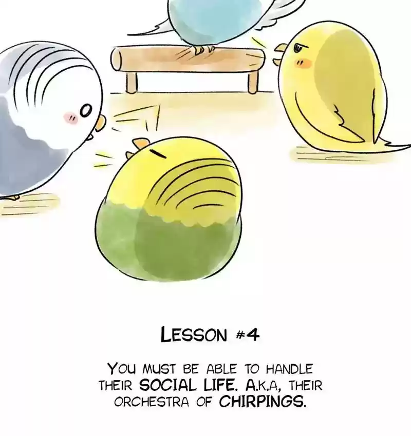 A Budgie's Life Chapter 83: Ep.83: