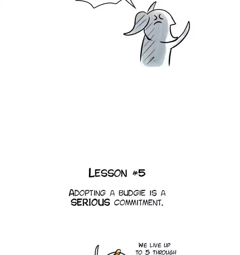 A Budgie's Life Chapter 83: Ep.83: