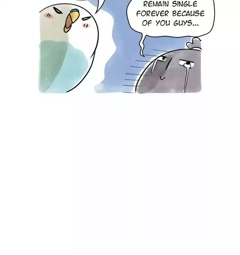 A Budgie's Life Chapter 83: Ep.83:
