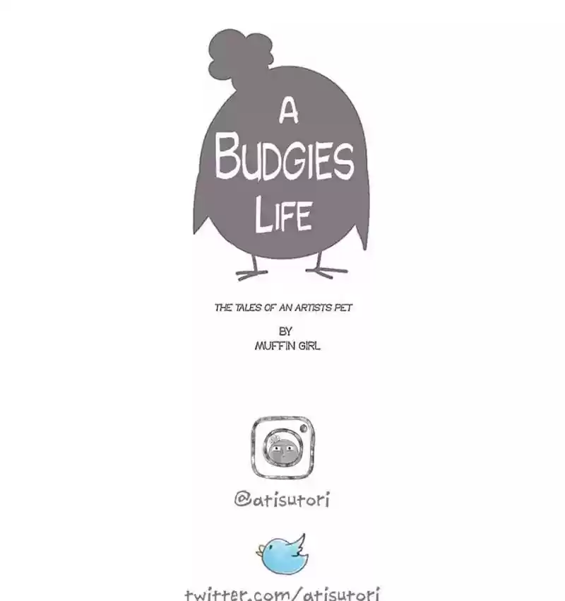 A Budgie's Life Chapter 83: Ep.83: