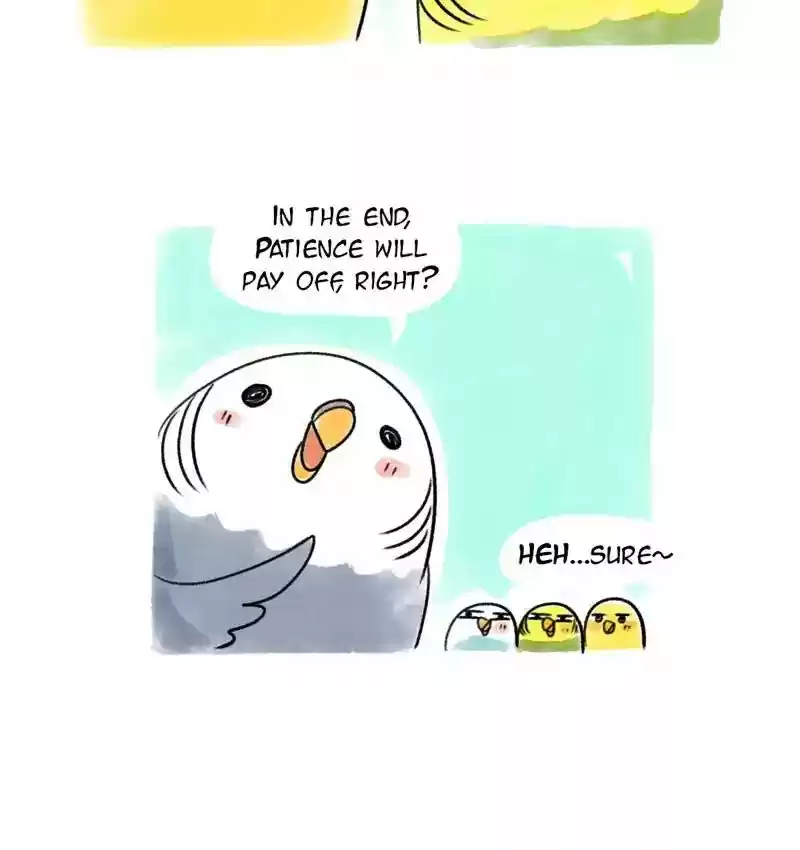 A Budgie's Life Chapter 83: Ep.83: