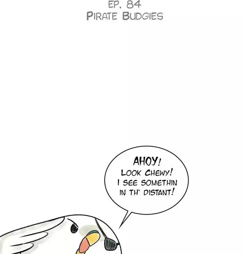 A Budgie's Life Chapter 84: Ep.84: