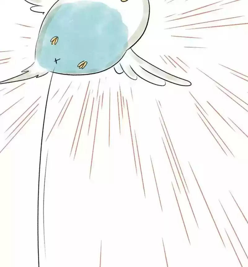 A Budgie's Life Chapter 84: Ep.84: