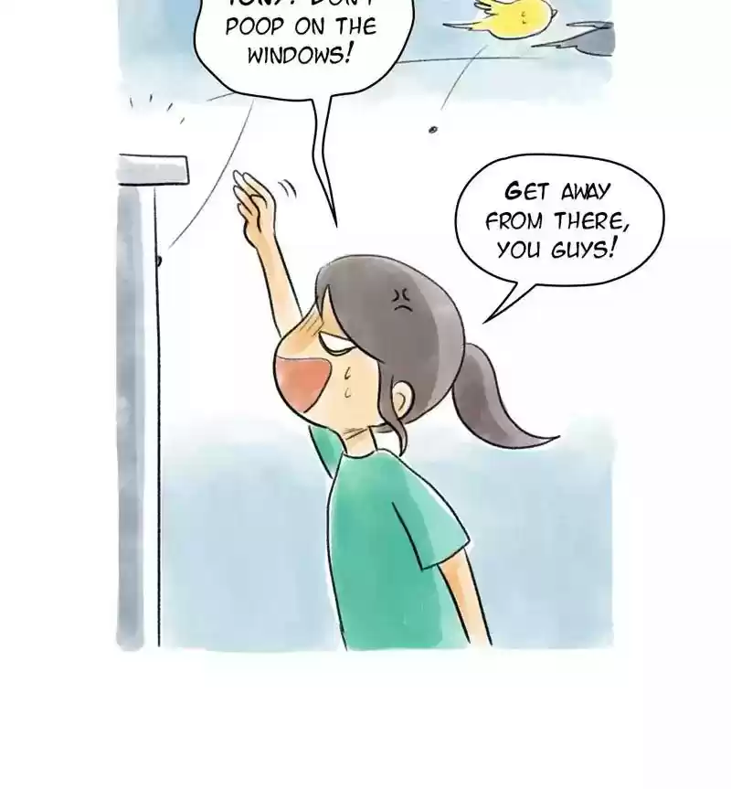 A Budgie's Life Chapter 84: Ep.84: