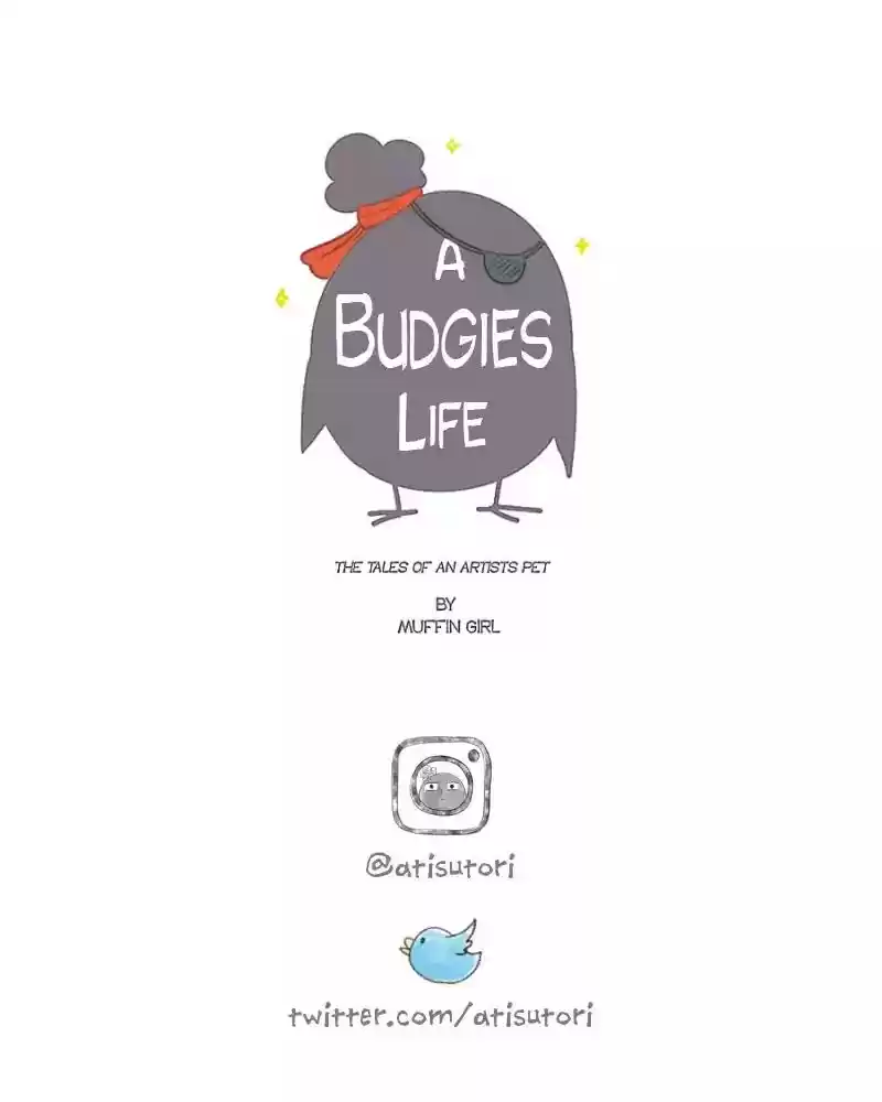 A Budgie's Life Chapter 84: Ep.84: