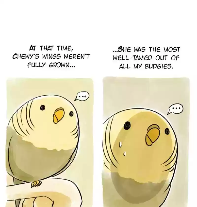 A Budgie's Life Chapter 85: Ep.85:
