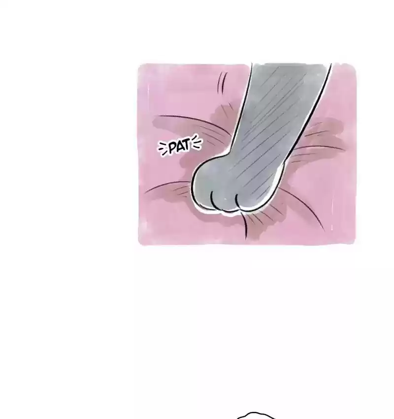 A Budgie's Life Chapter 85: Ep.85: