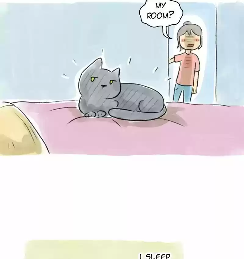 A Budgie's Life Chapter 85: Ep.85: