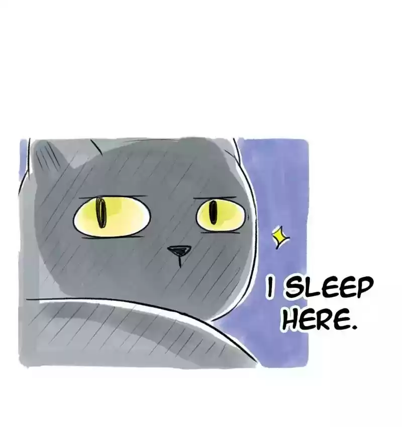 A Budgie's Life Chapter 85: Ep.85: