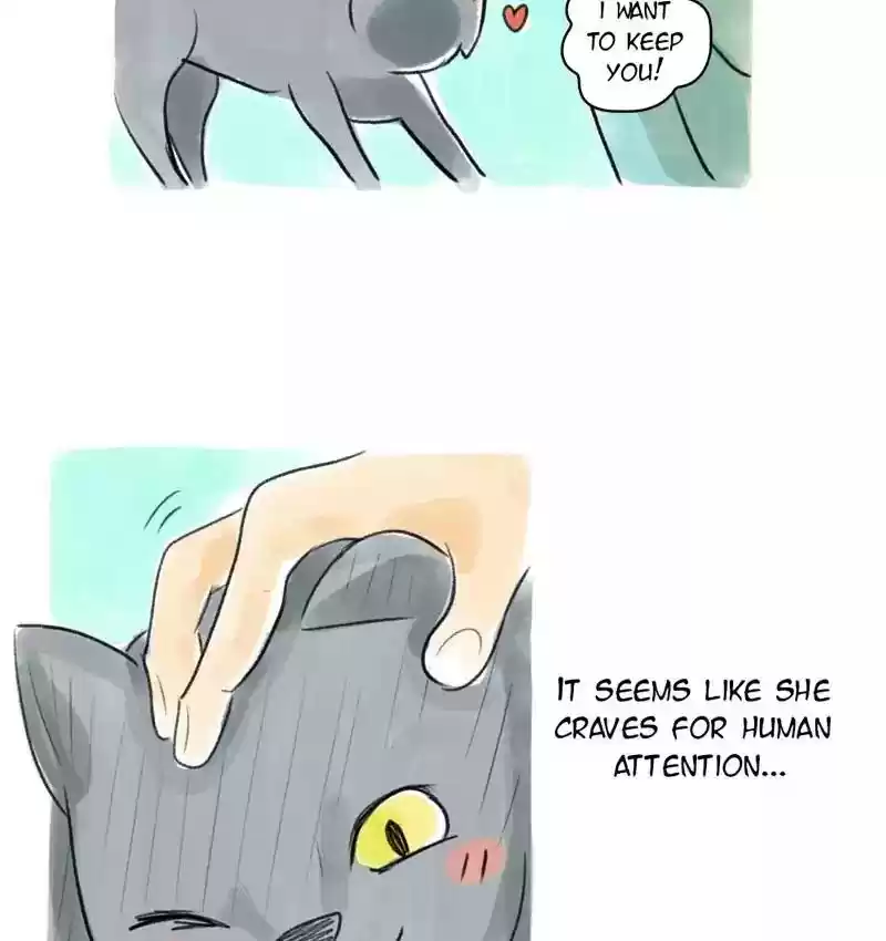 A Budgie's Life Chapter 85: Ep.85: