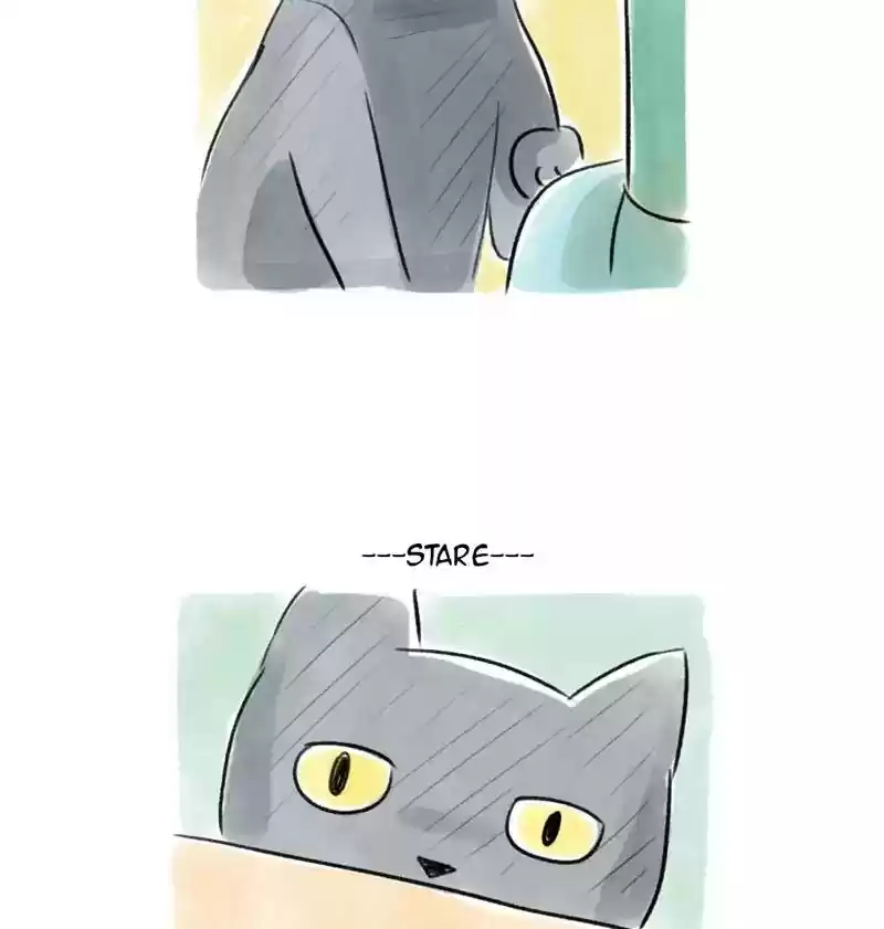 A Budgie's Life Chapter 85: Ep.85: