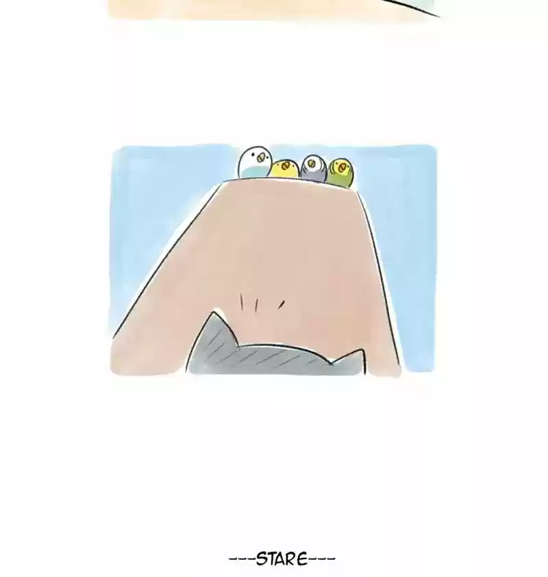 A Budgie's Life Chapter 85: Ep.85: