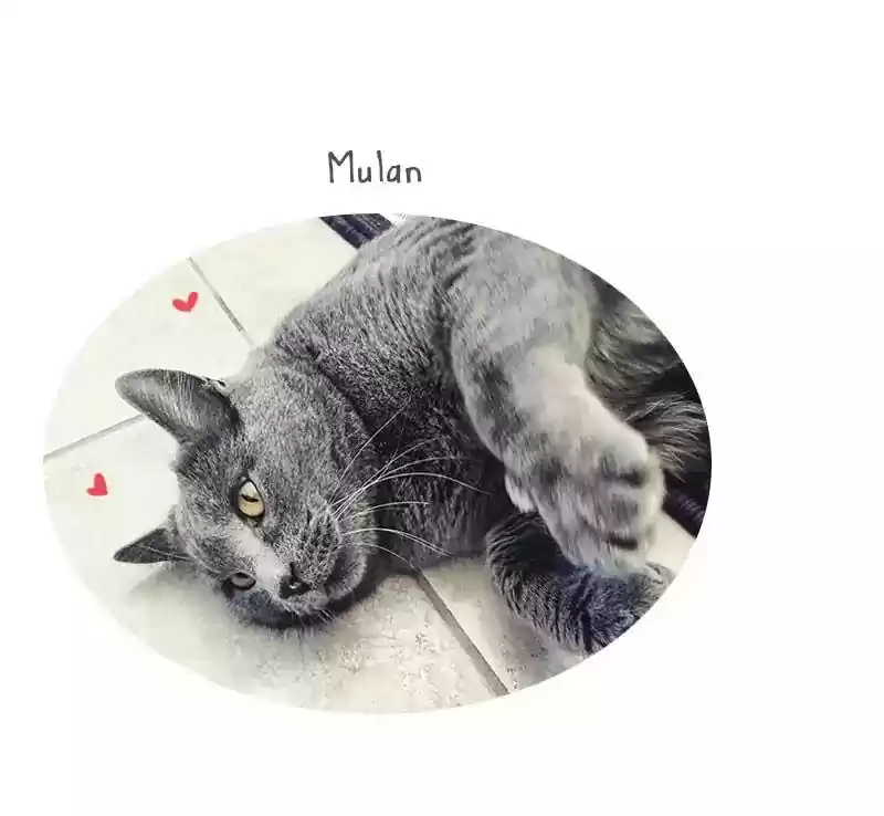 A Budgie's Life Chapter 85: Ep.85: