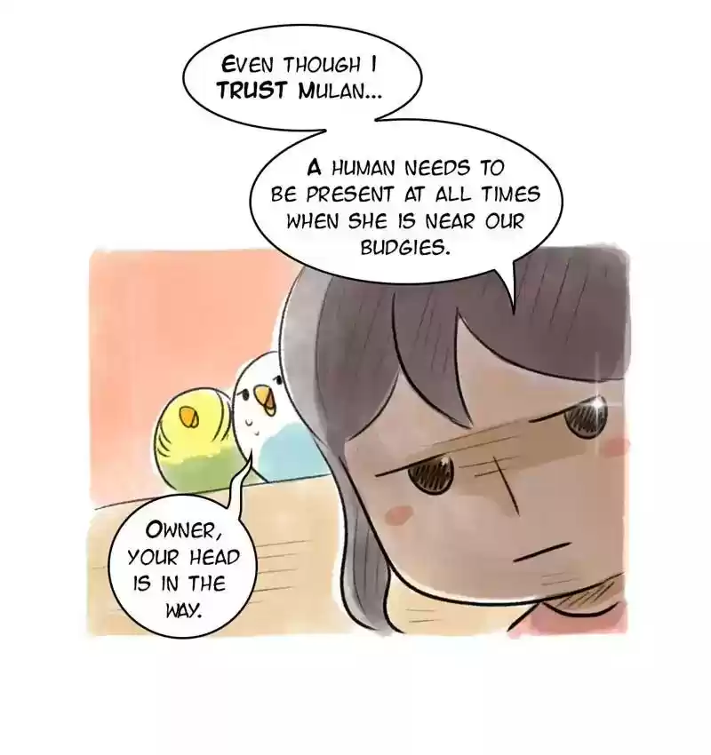 A Budgie's Life Chapter 86: Ep.86:
