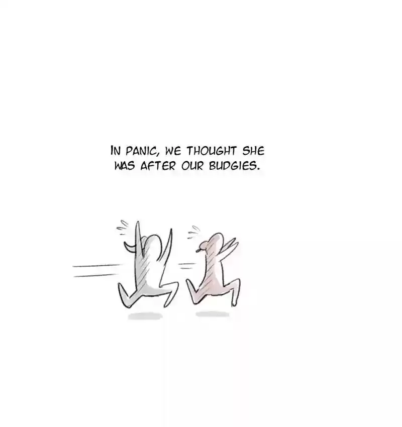 A Budgie's Life Chapter 86: Ep.86: