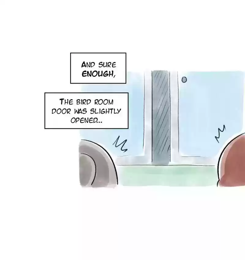 A Budgie's Life Chapter 86: Ep.86: