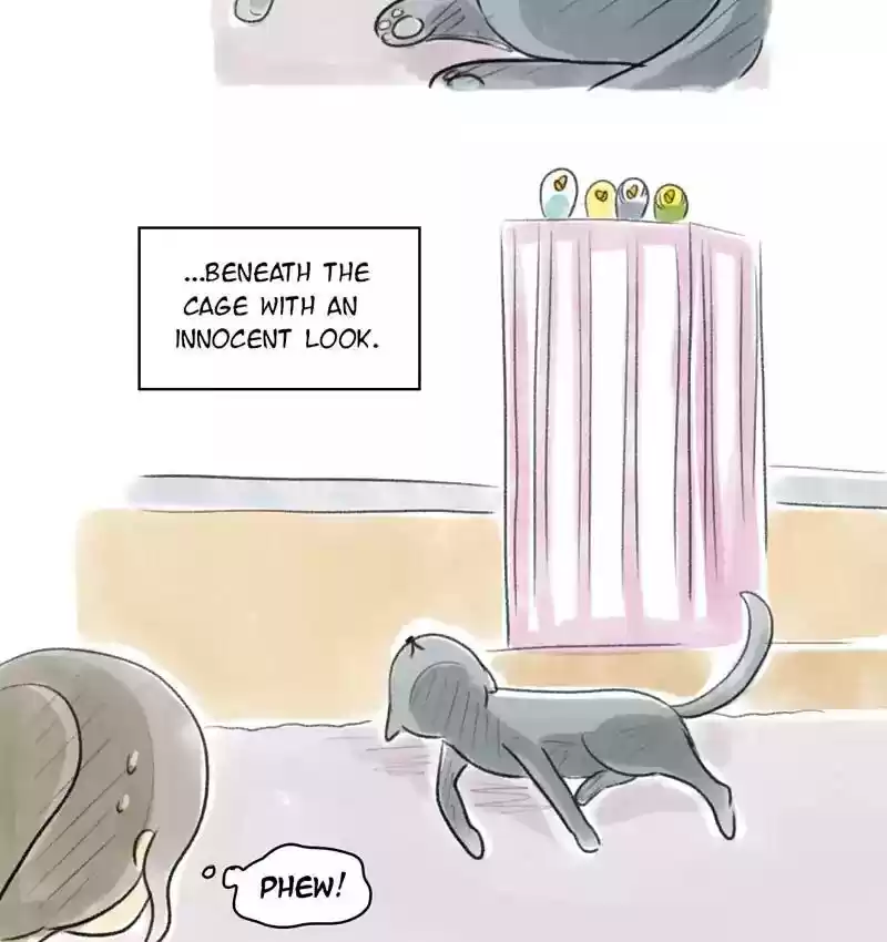 A Budgie's Life Chapter 86: Ep.86: