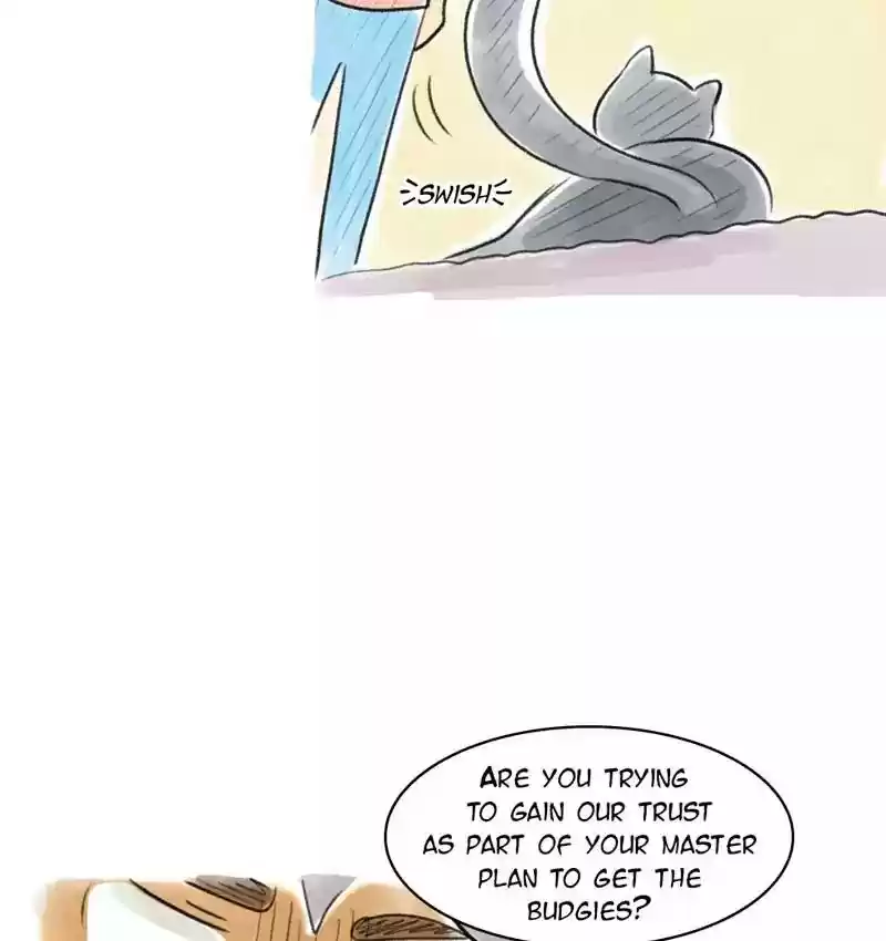 A Budgie's Life Chapter 86: Ep.86: