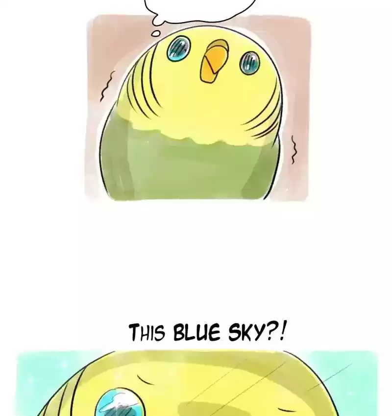 A Budgie's Life Chapter 86: Ep.86: