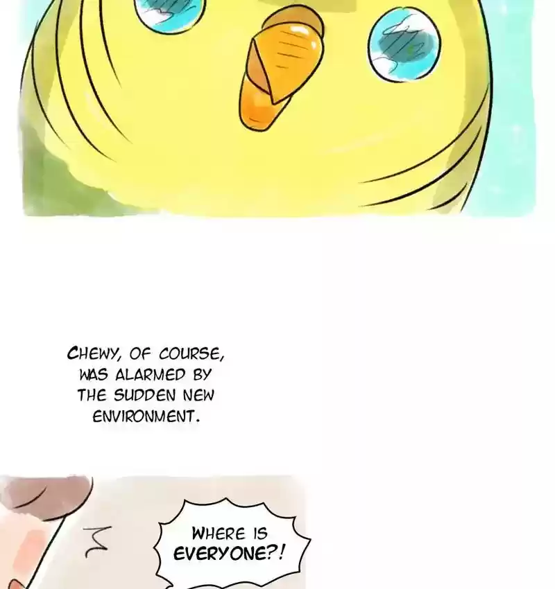 A Budgie's Life Chapter 86: Ep.86: