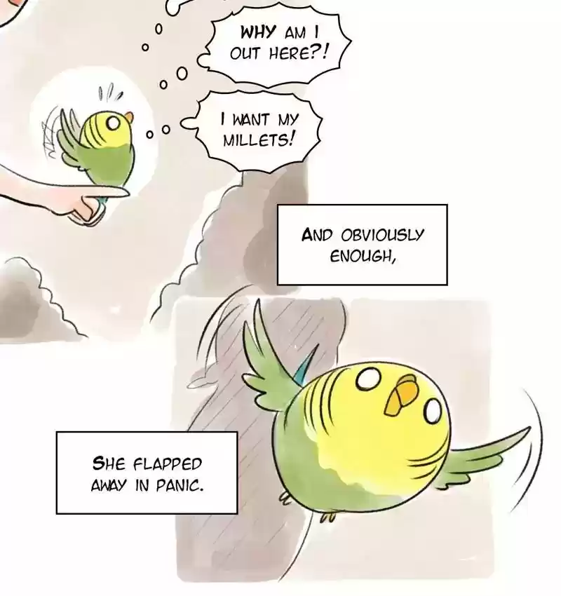 A Budgie's Life Chapter 86: Ep.86: