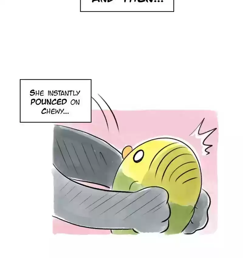 A Budgie's Life Chapter 86: Ep.86: