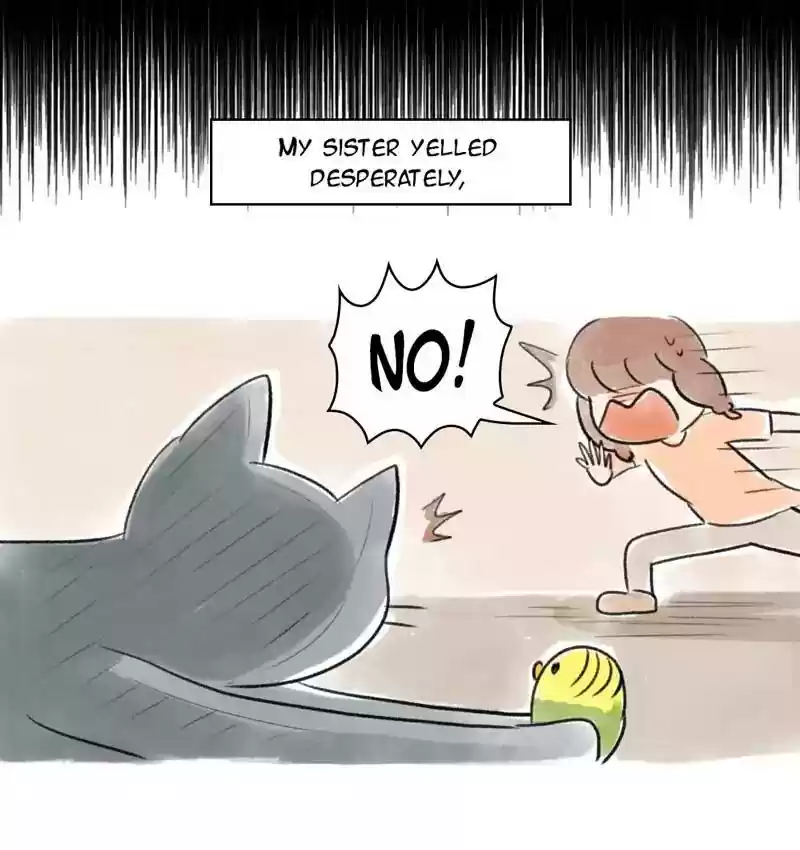 A Budgie's Life Chapter 86: Ep.86: