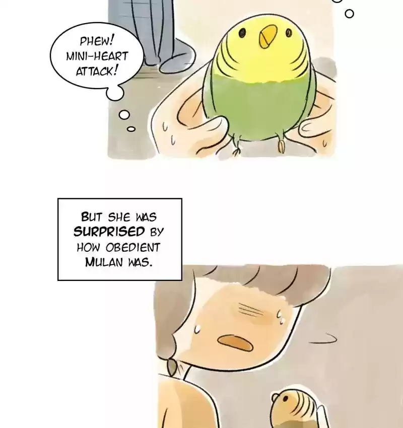 A Budgie's Life Chapter 86: Ep.86:
