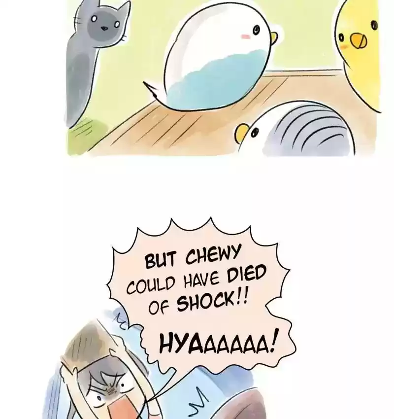 A Budgie's Life Chapter 86: Ep.86: