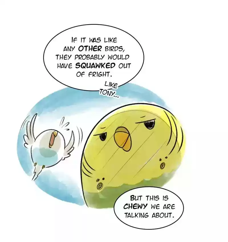 A Budgie's Life Chapter 86: Ep.86: