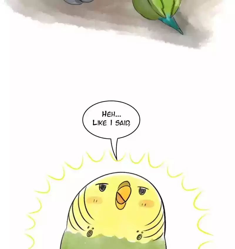 A Budgie's Life Chapter 86: Ep.86: