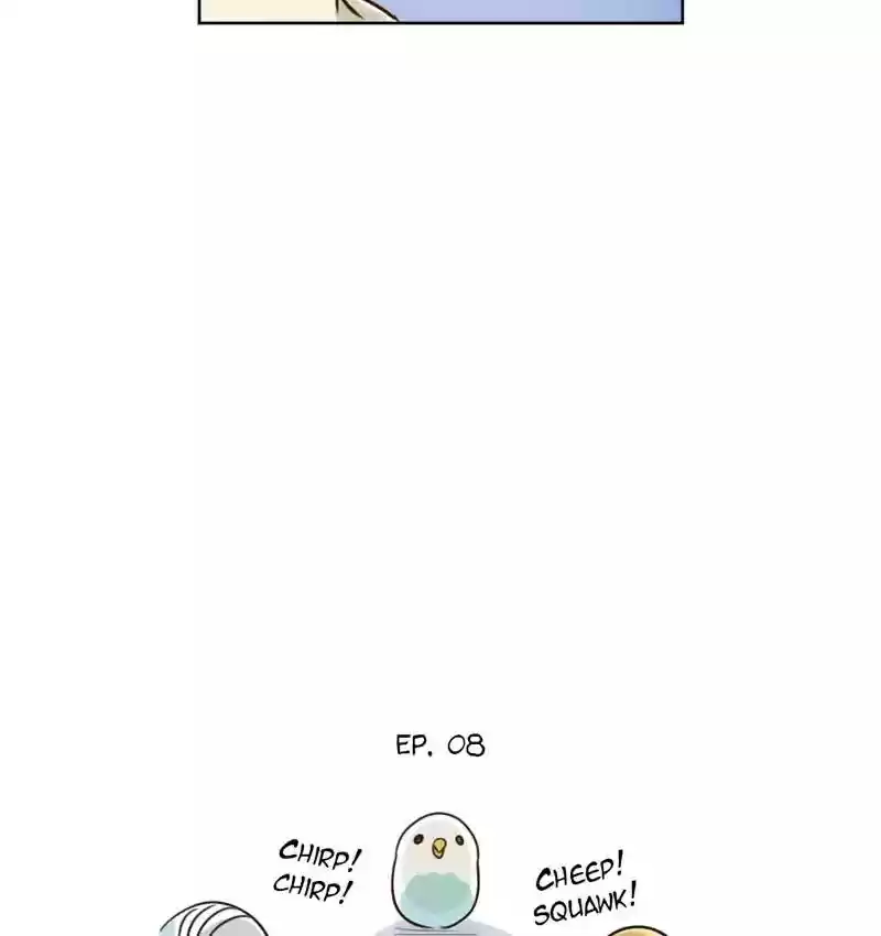 A Budgie's Life Chapter 87: Ep.87: