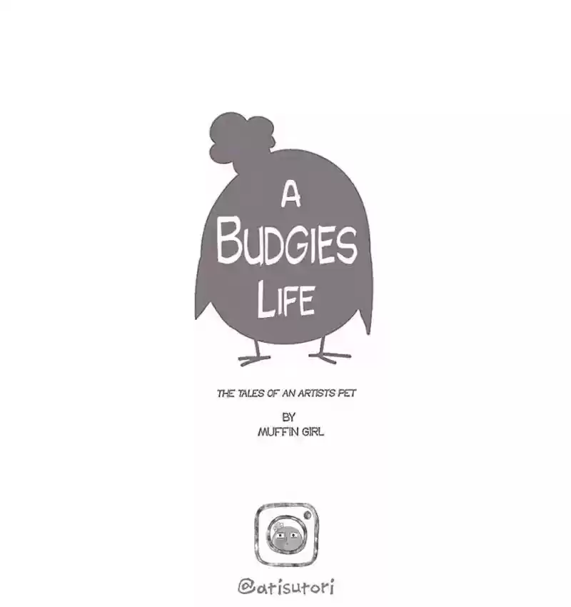 A Budgie's Life Chapter 87: Ep.87: