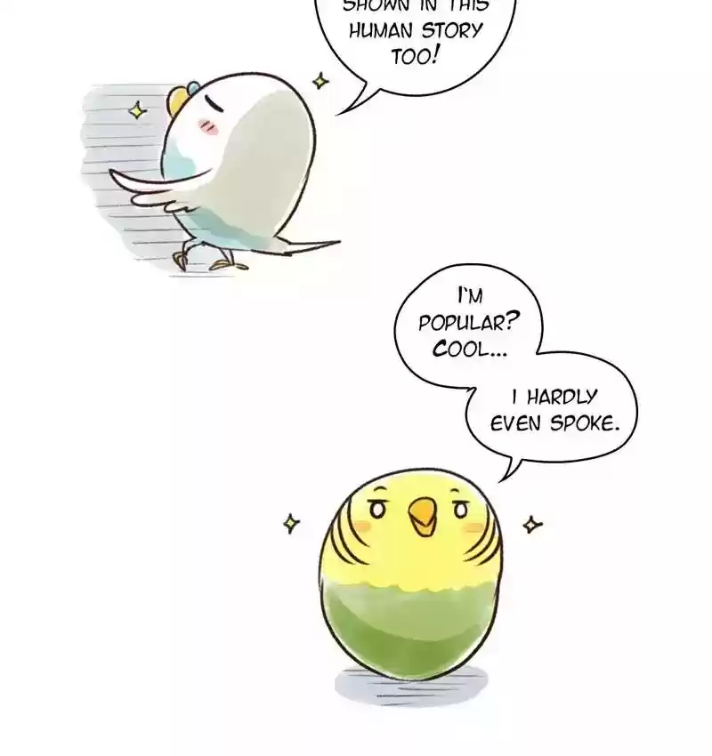 A Budgie's Life Chapter 87: Ep.87: