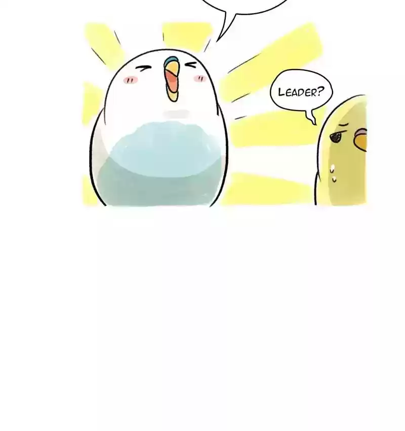 A Budgie's Life Chapter 88: Ep.88: