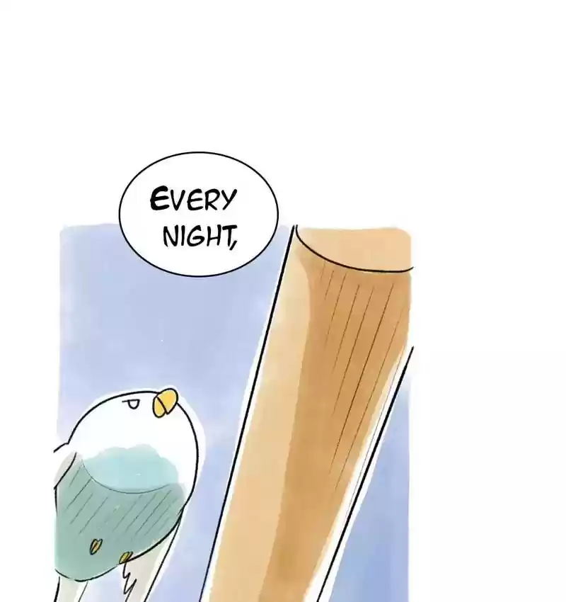 A Budgie's Life Chapter 88: Ep.88: