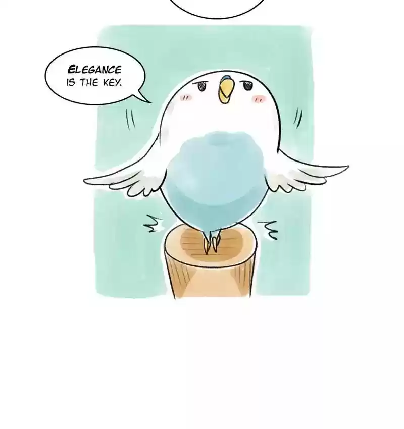 A Budgie's Life Chapter 88: Ep.88: