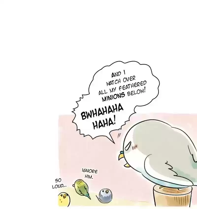 A Budgie's Life Chapter 88: Ep.88: