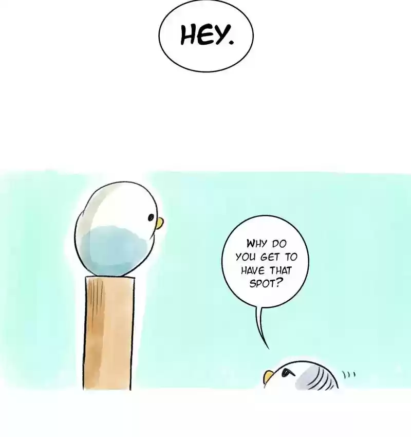 A Budgie's Life Chapter 88: Ep.88: