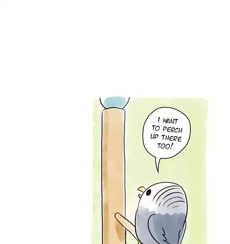 A Budgie's Life Chapter 88: Ep.88: