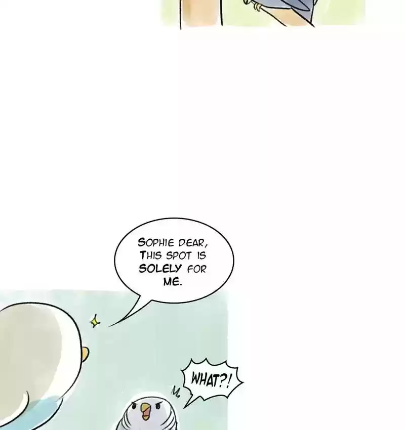 A Budgie's Life Chapter 88: Ep.88: