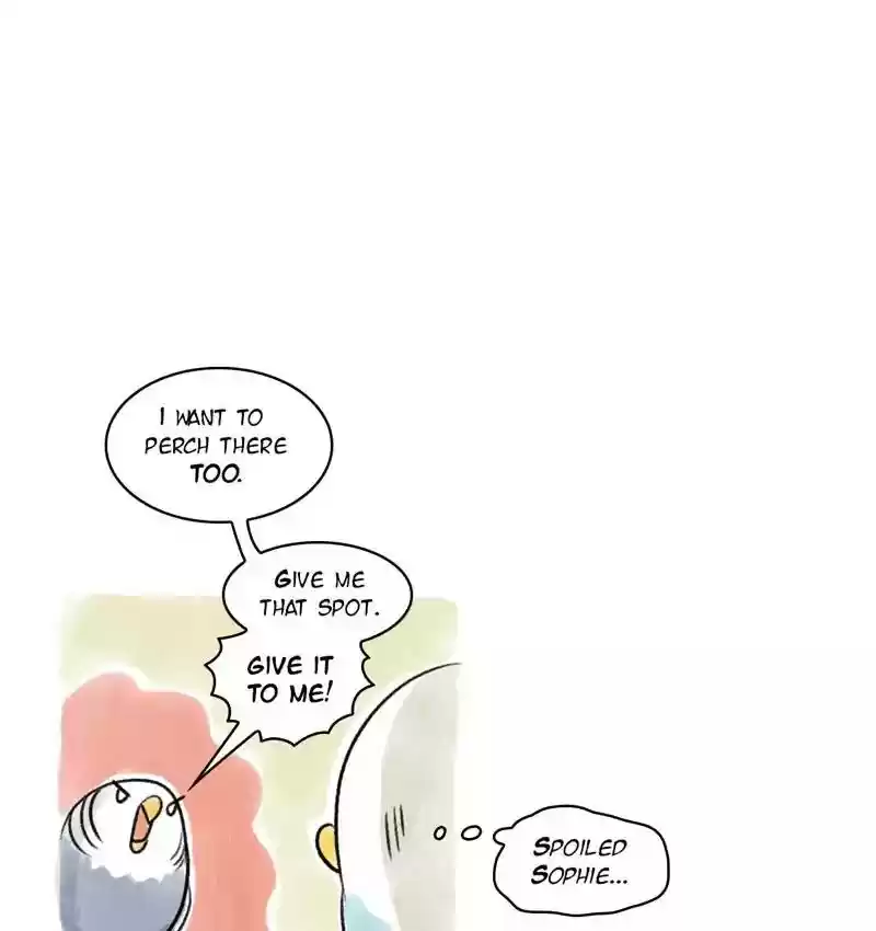 A Budgie's Life Chapter 88: Ep.88: