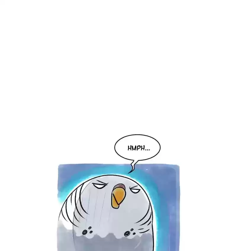 A Budgie's Life Chapter 88: Ep.88: