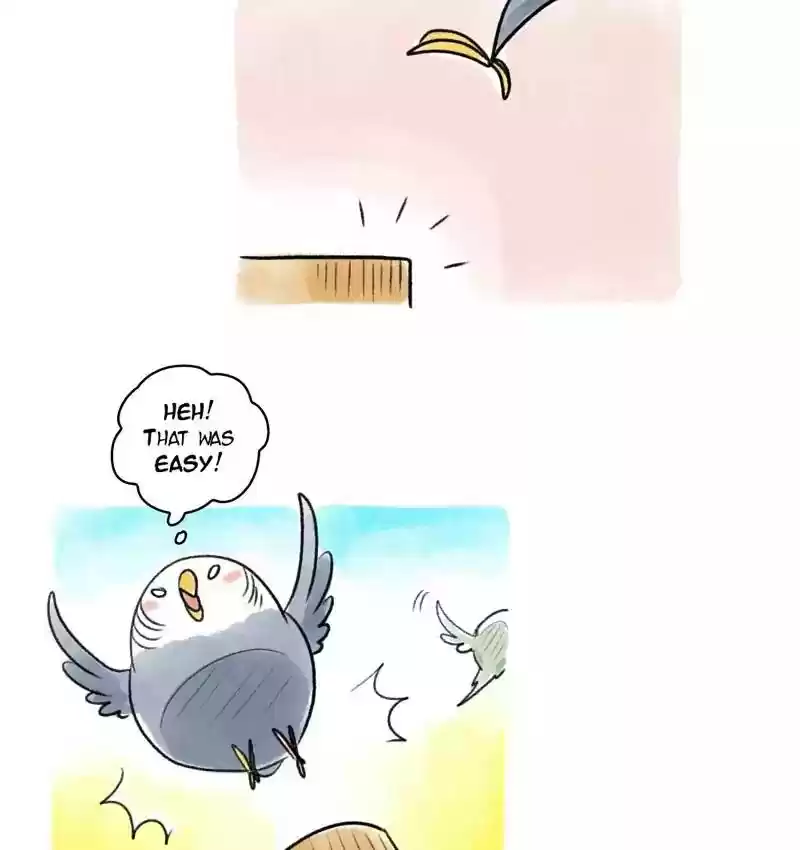A Budgie's Life Chapter 88: Ep.88:
