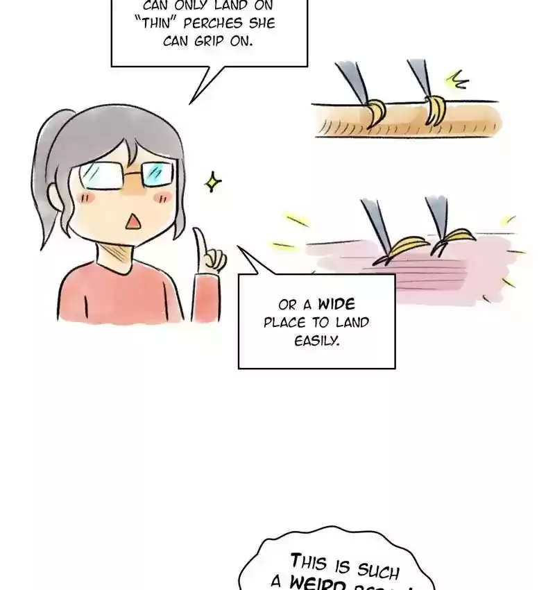 A Budgie's Life Chapter 88: Ep.88: