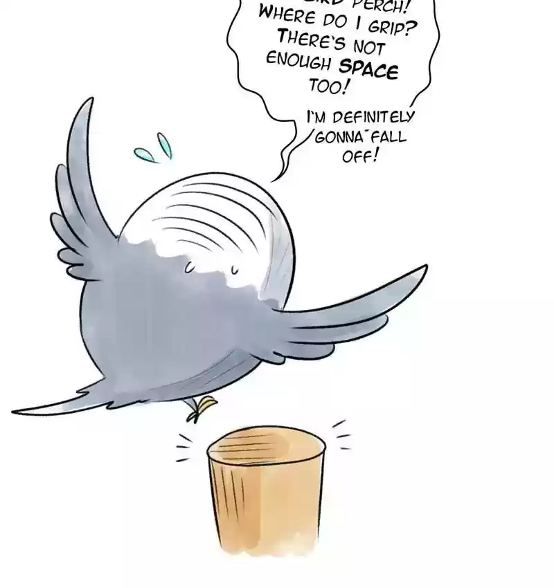 A Budgie's Life Chapter 88: Ep.88: