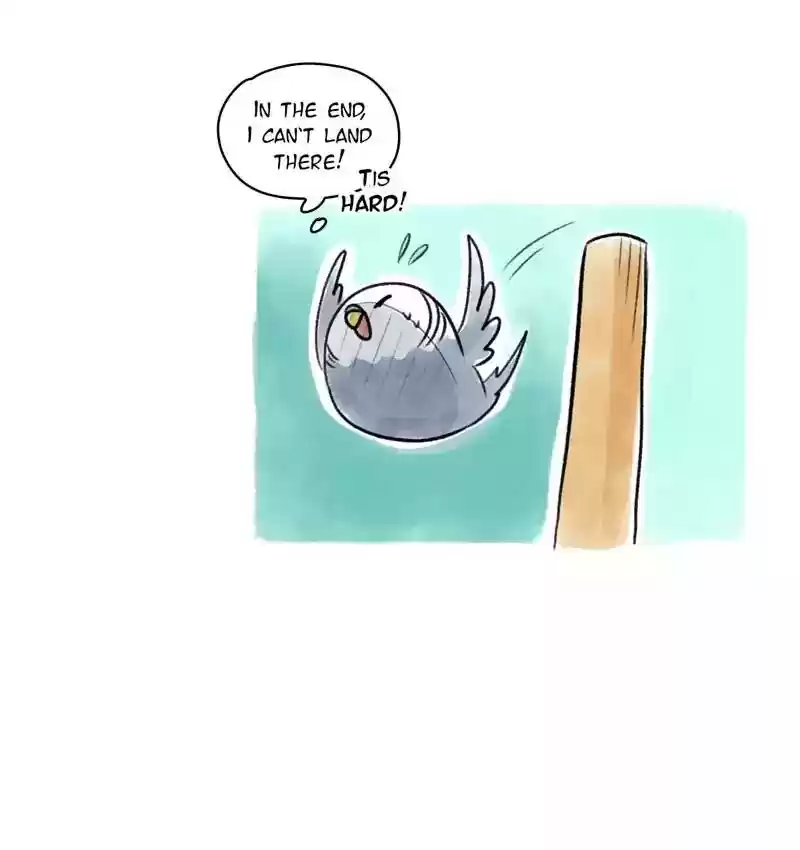 A Budgie's Life Chapter 88: Ep.88: