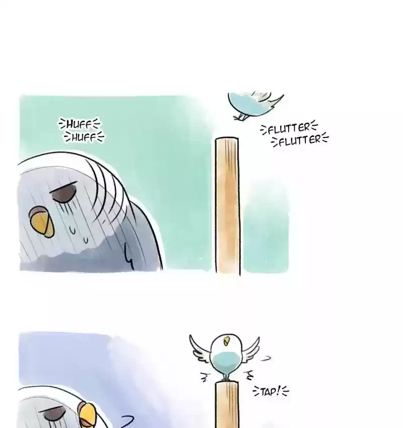 A Budgie's Life Chapter 88: Ep.88: